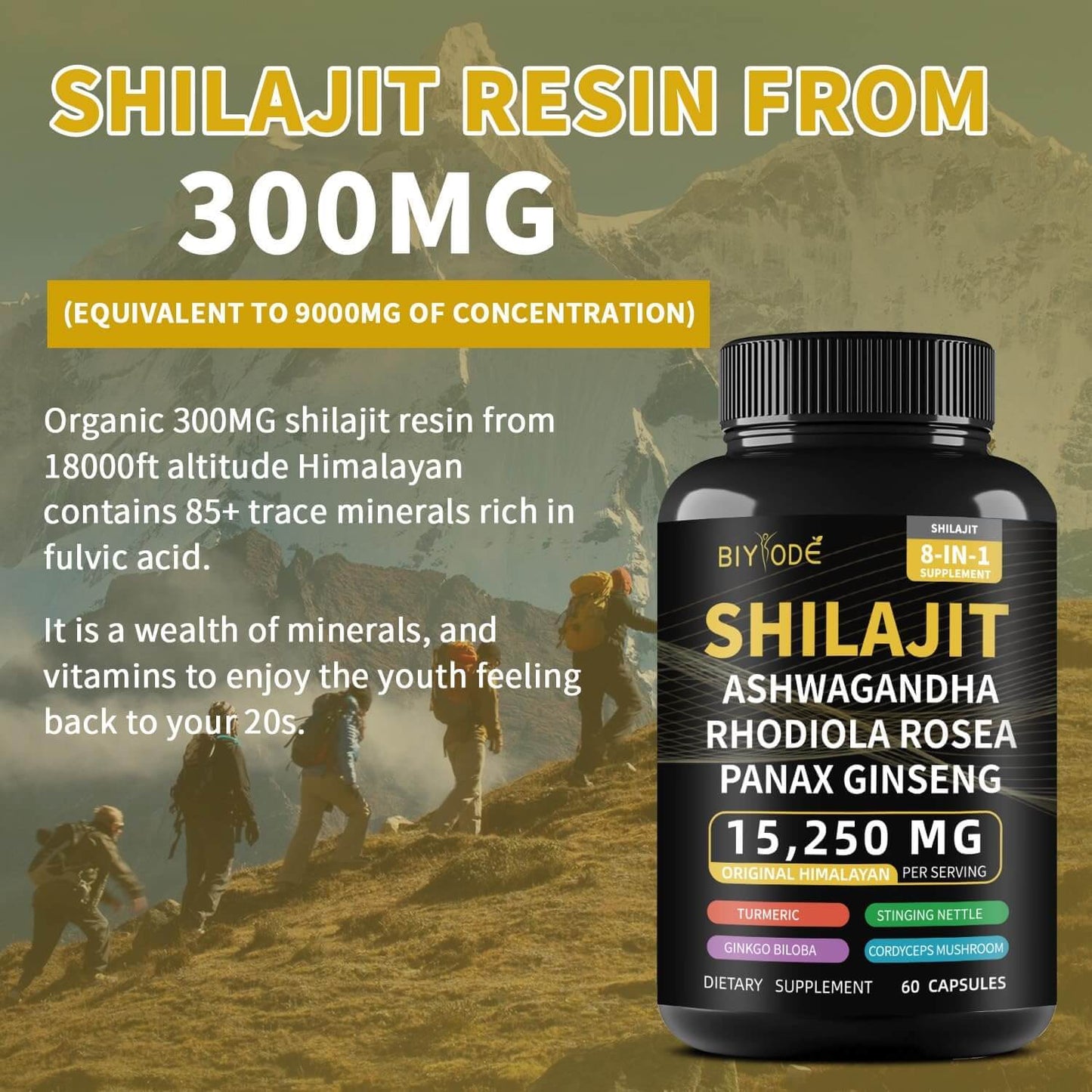 Shilajit 100% Puro 60 Capsulas💎EL ORIGINAL💎 Fuente de Energía Vital del Himalaya